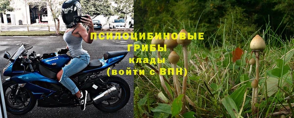 шишки Козельск