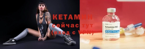 шишки Козельск