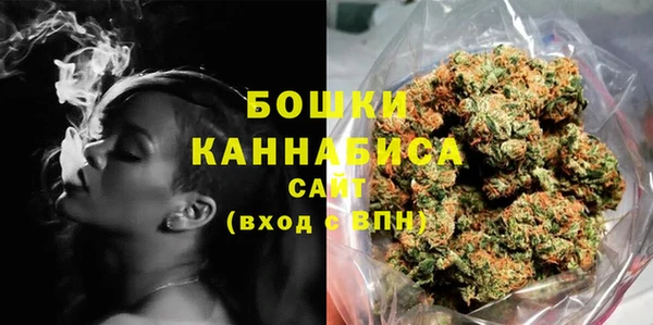 шишки Козельск