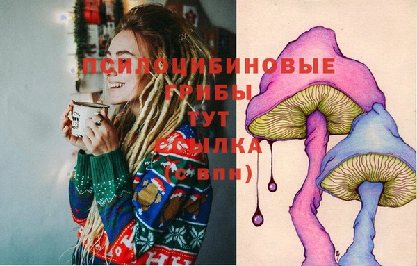 тгк Кодинск