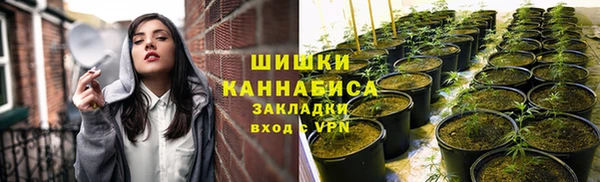 прущая мука Козловка
