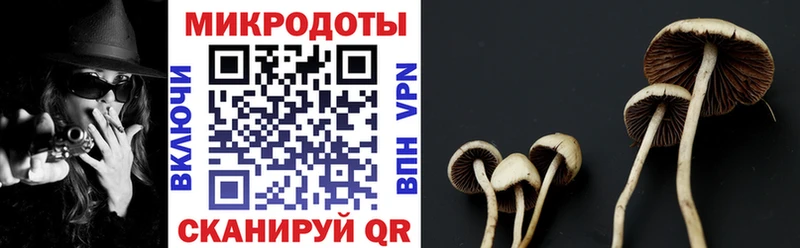 где купить наркотик  ссылка на мегу ТОР  Псилоцибиновые грибы мухоморы  Новошахтинск 